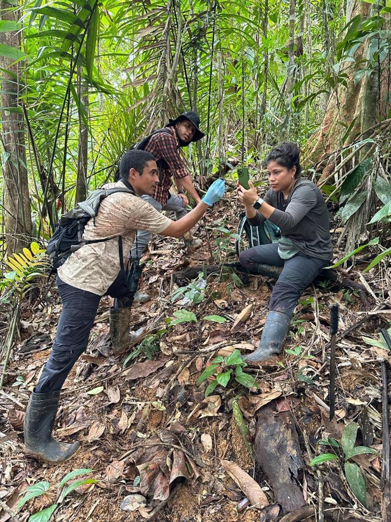 Konsenda San Blas Chepo  Exteriér fotografie
